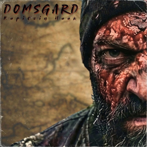 Cover art for Kapitein Haak by Domsgard
